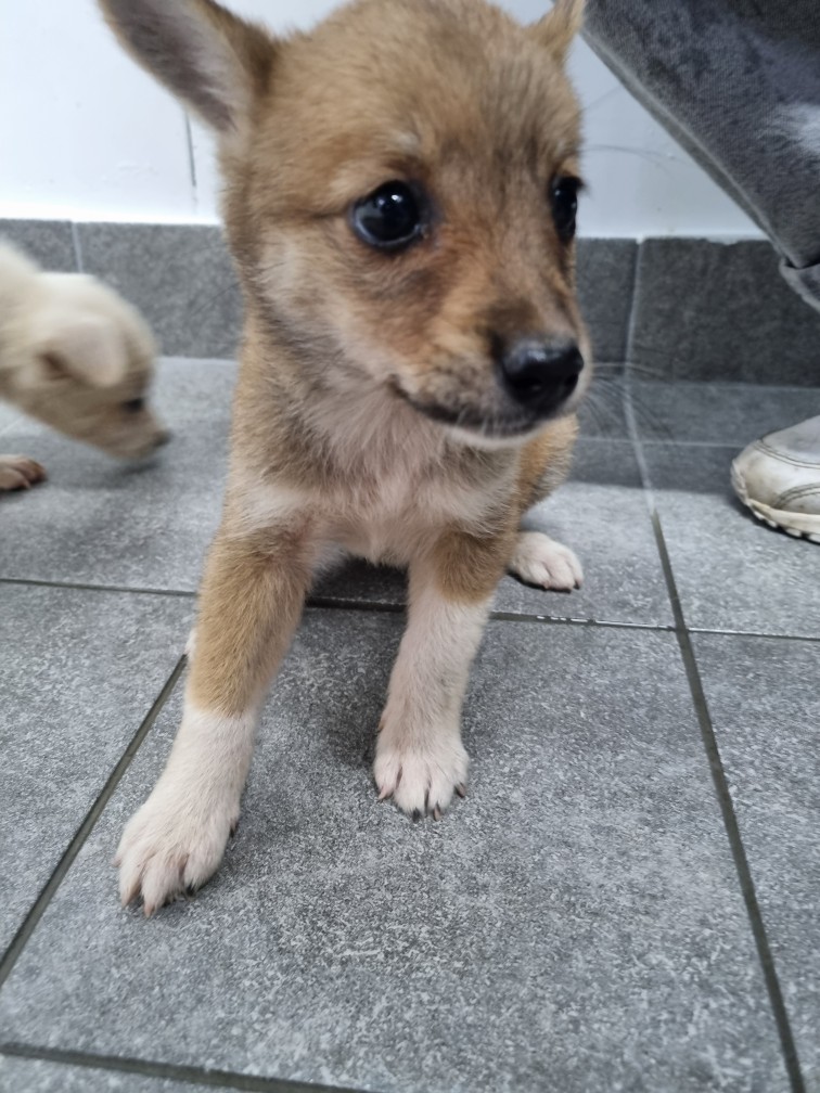 군위종합동물병원_427514202400606