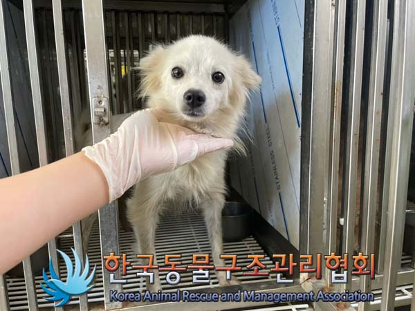 한국동물구조관리협회_441406202401519