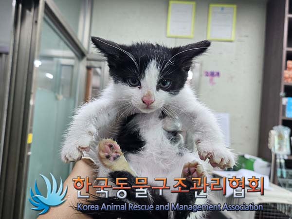 종료(자연사) 한국…