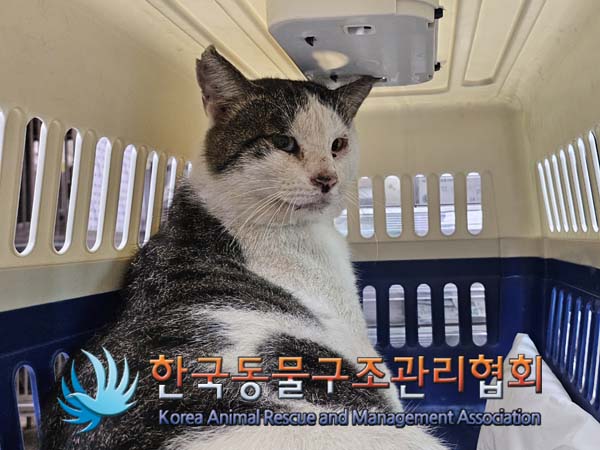 한국동물구조관리협회_441406202401522