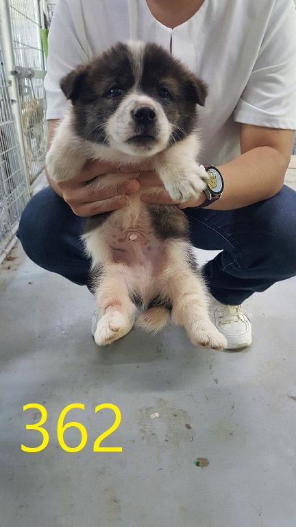 신영재동물병원_428355202400641