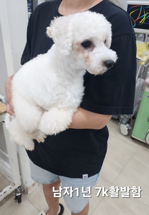 옥천동물병원_443443202400670