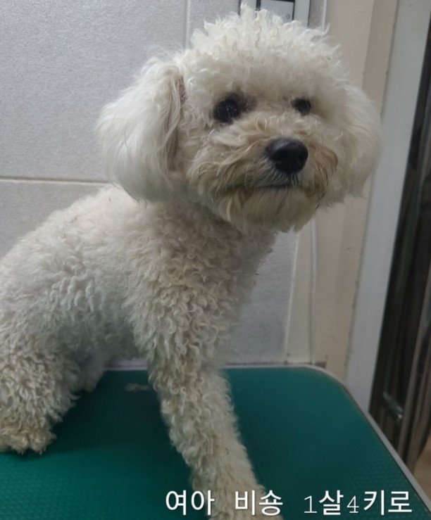 옥천동물병원_443443202400675