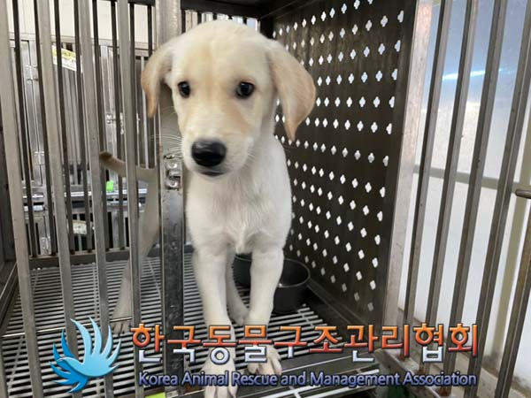 종료(자연사) 믹스…