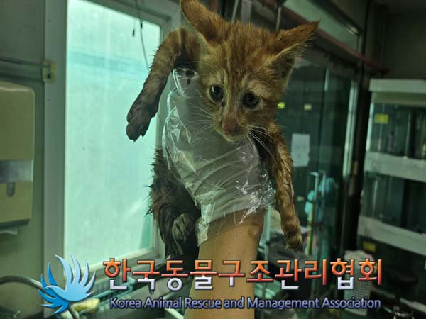 한국동물구조관리협회_411316202400515