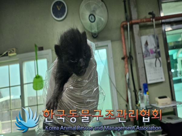 한국동물구조관리협회_411300202400397