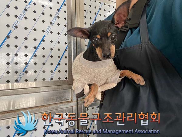 한국동물구조관리협회_441392202400261