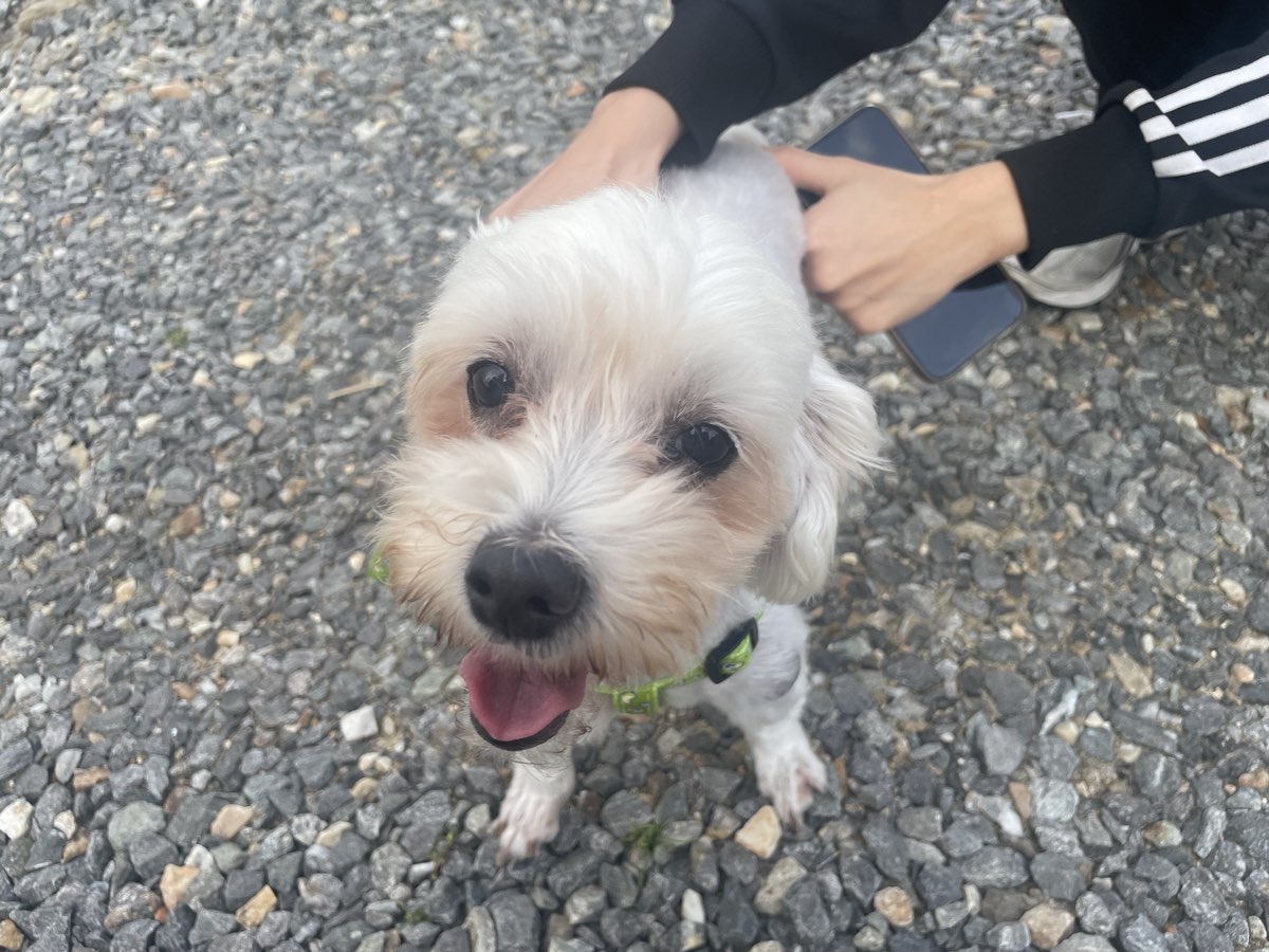 한국동물구조관리협회_441406202401527