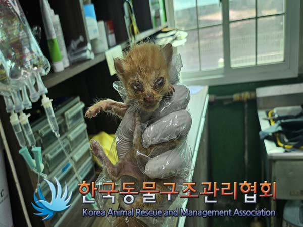종료(자연사) 한국…