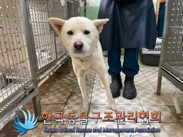한국동물구조관리협회_441406202401548
