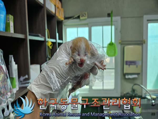 종료(자연사) 한국…