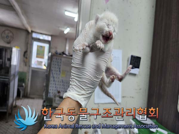 한국동물구조관리협회_441404202400502