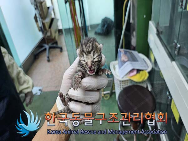 종료(자연사) 한국…