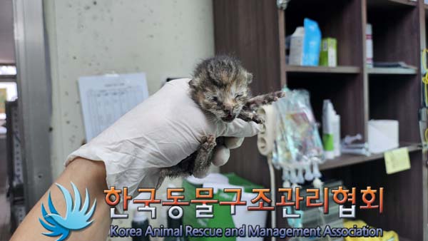 한국동물구조관리협회_441404202400504