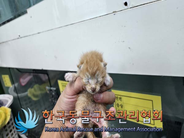 한국동물구조관리협회_441404202400501