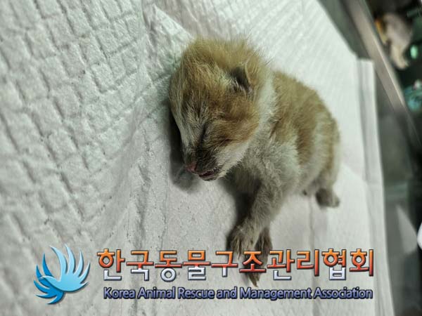 한국동물구조관리협회_441404202400499