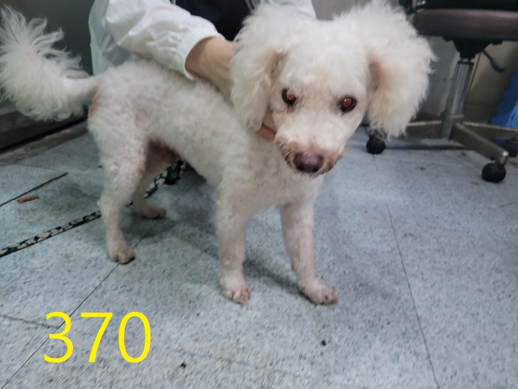 신영재동물병원_428355202400649