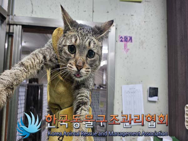 종료(자연사) 한국…