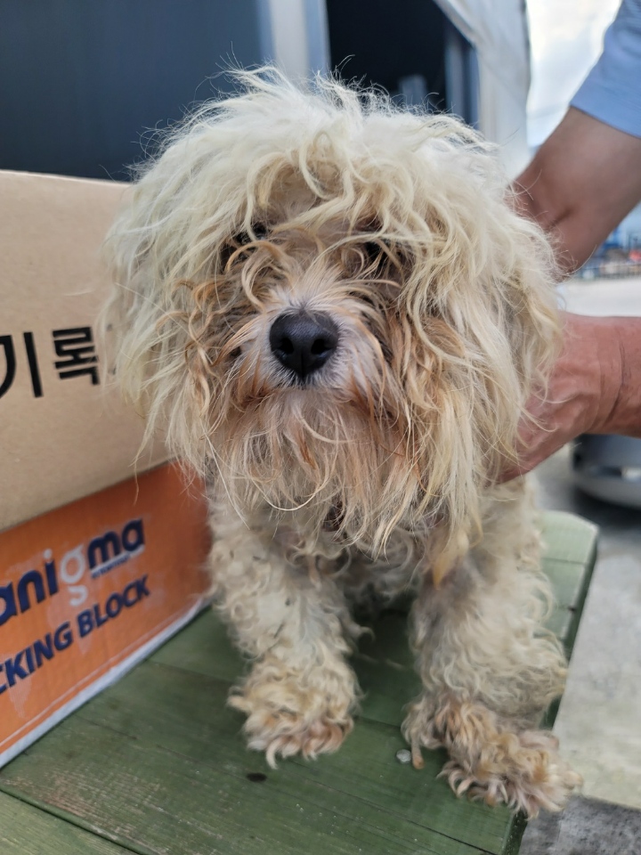 괴산증평동물보호센터_443446202400450