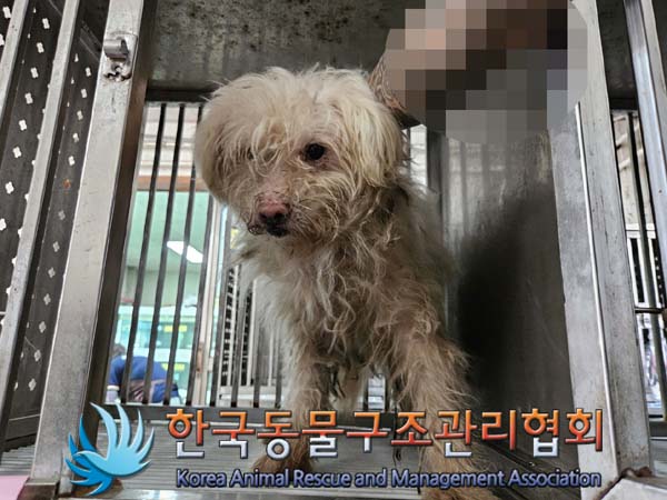 한국동물구조관리협회_411310202400649
