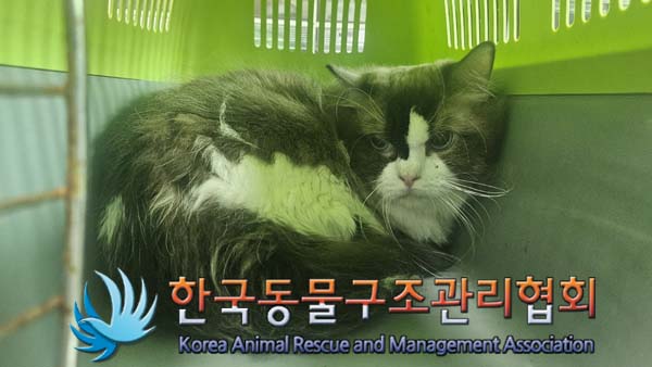 한국동물구조관리협회_441409202401437