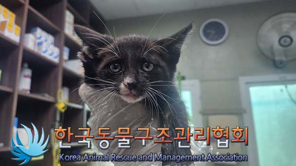 종료(자연사) 한국…
