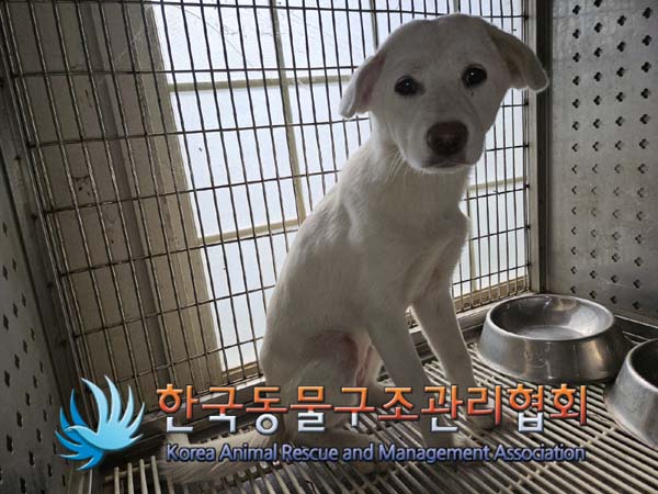 한국동물구조관리협회_441392202400262