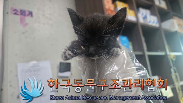 한국동물구조관리협회_411323202400979