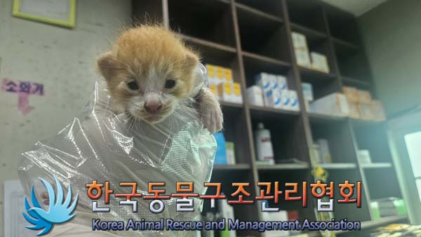 한국동물구조관리협회_411306202400733