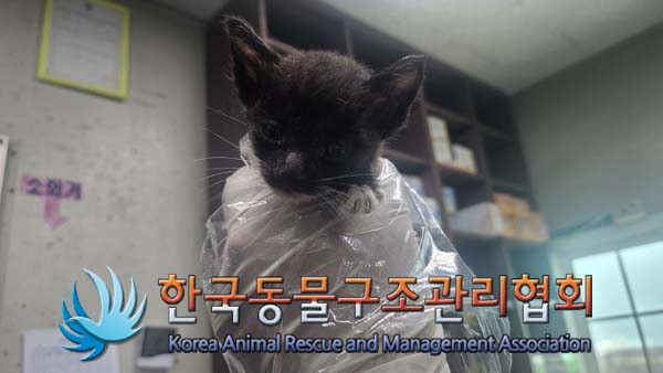 한국동물구조관리협회_411323202400980