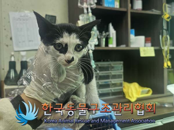 종료(자연사) 한국…