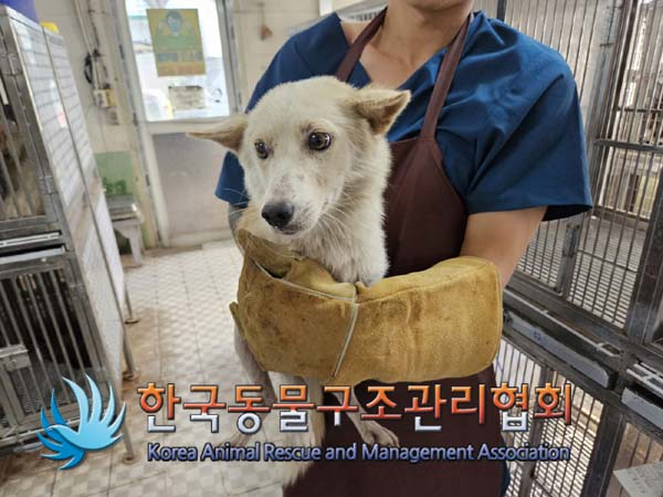 한국동물구조관리협회_441560202401186