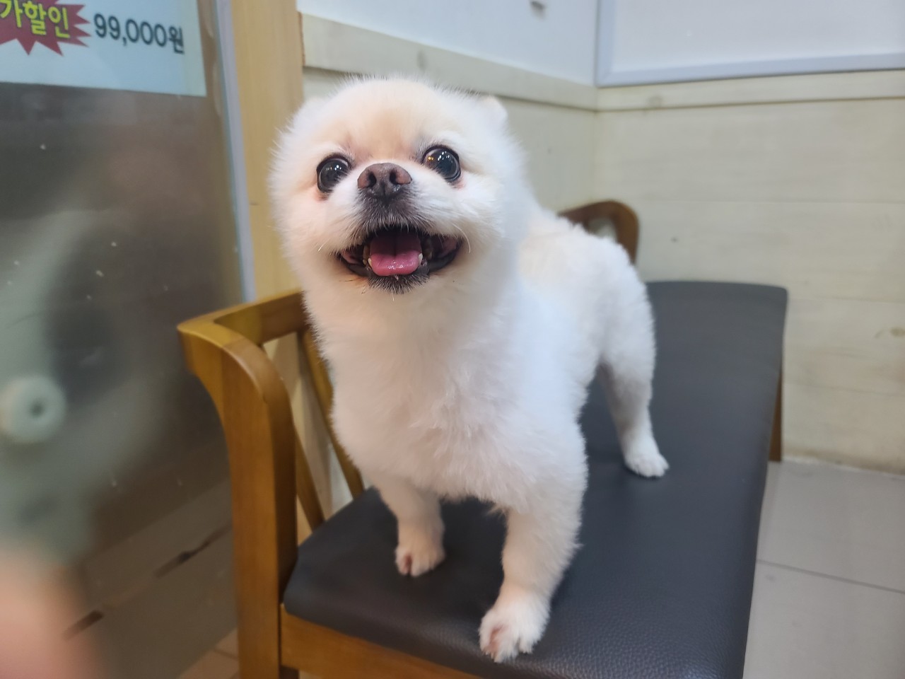 가나동물병원_441386202401299