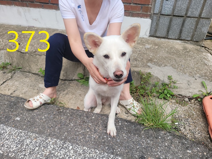 신영재동물병원_428355202400652