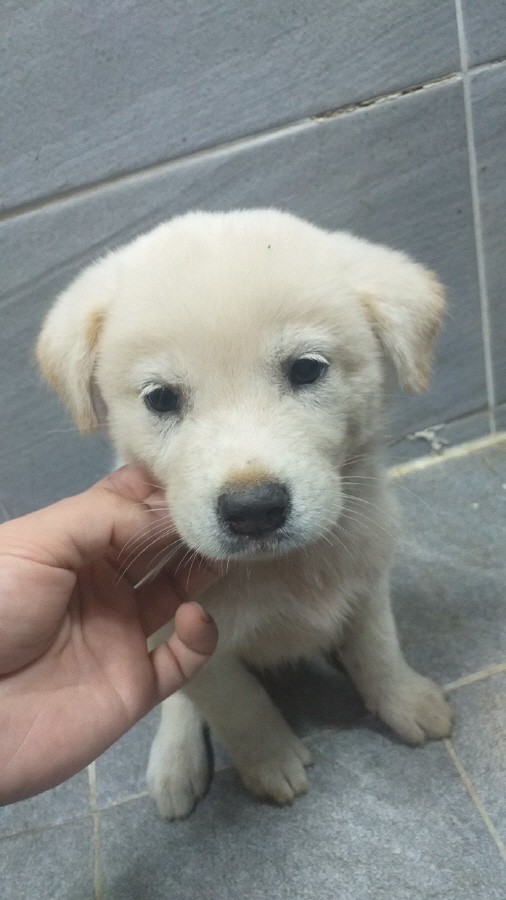 이성준동물병원_441408202401477