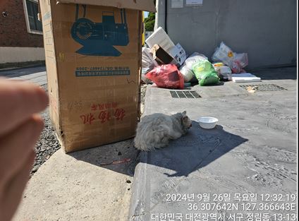대전동물보호센터_430366202400505