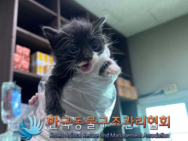한국동물구조관리협회_411303202400430