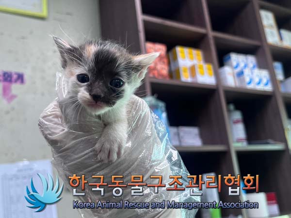 한국동물구조관리협회_411303202400427