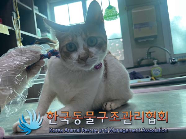 한국동물구조관리협회_441404202400506