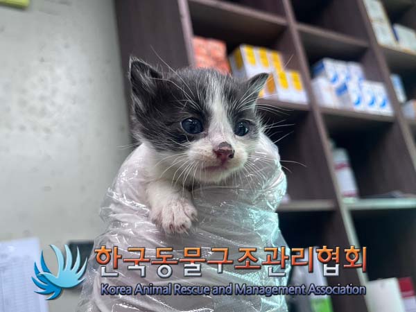 한국동물구조관리협회_411303202400431