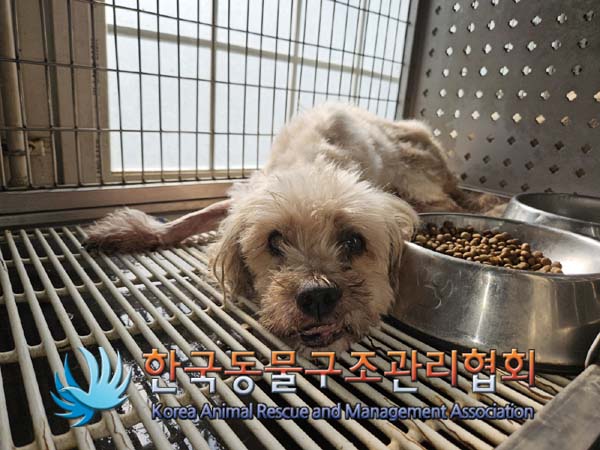 한국동물구조관리협회_411307202400468