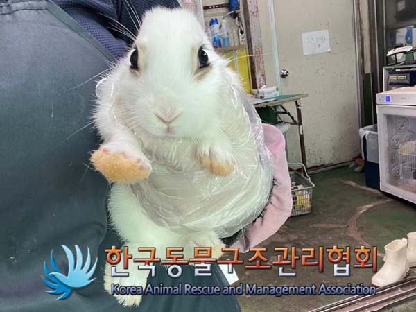 한국동물구조관리협회_411311202400712