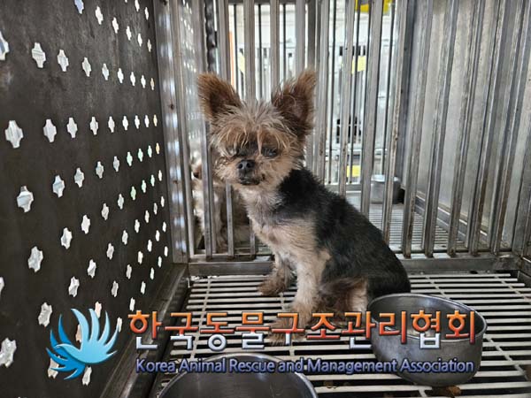 한국동물구조관리협회_441406202401576