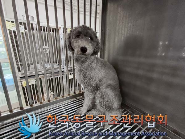 한국동물구조관리협회_411306202400753