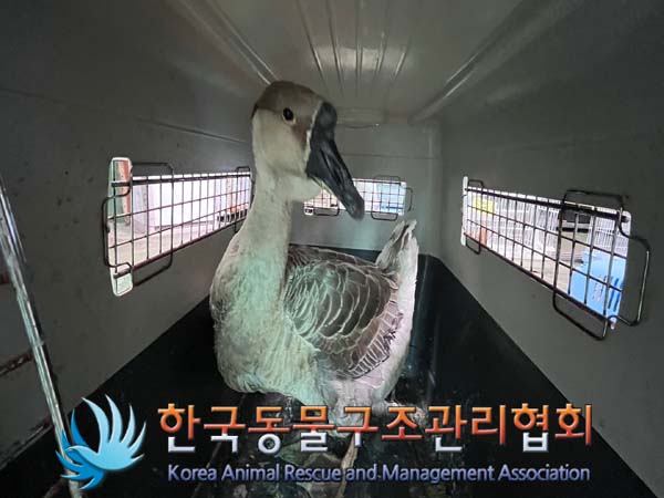 한국동물구조관리협회_411311202400714