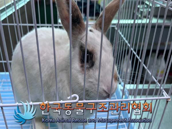 한국동물구조관리협회_411307202400471