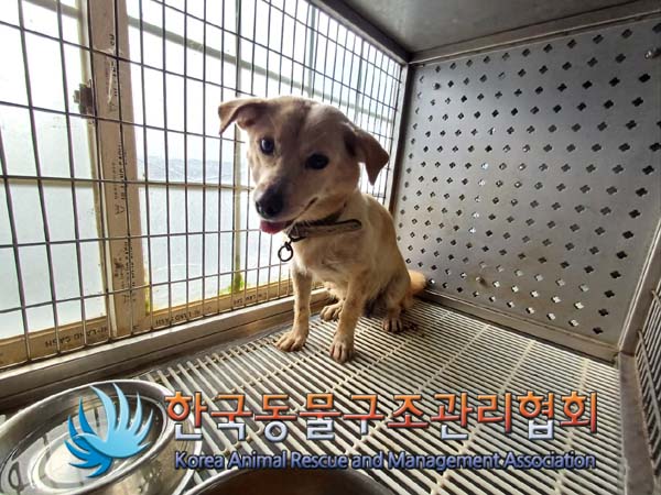 한국동물구조관리협회_441559202400977