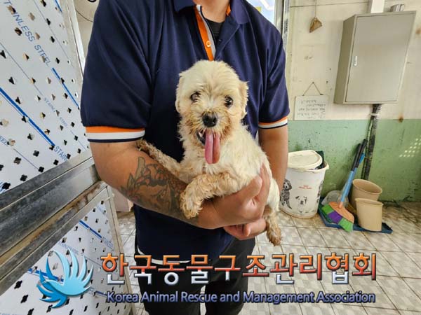 한국동물구조관리협회_441559202400983