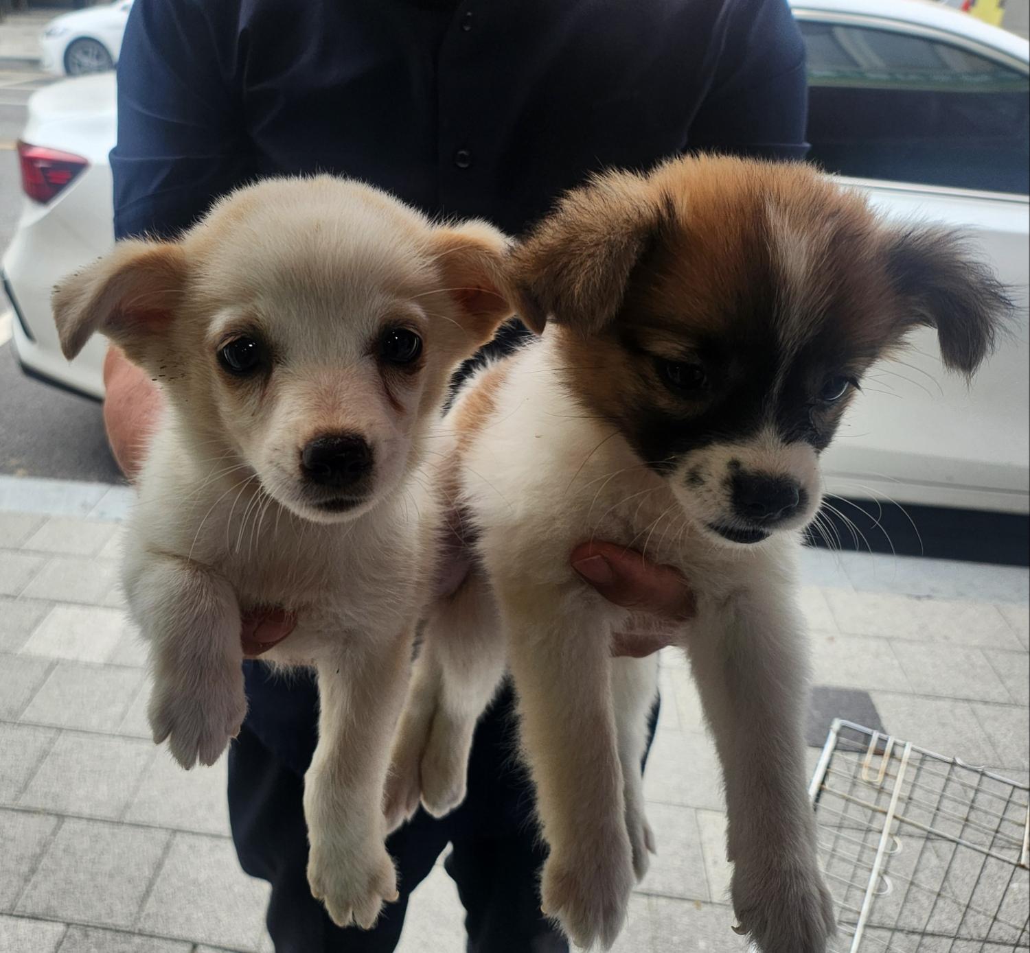 종합축산_447512202400636