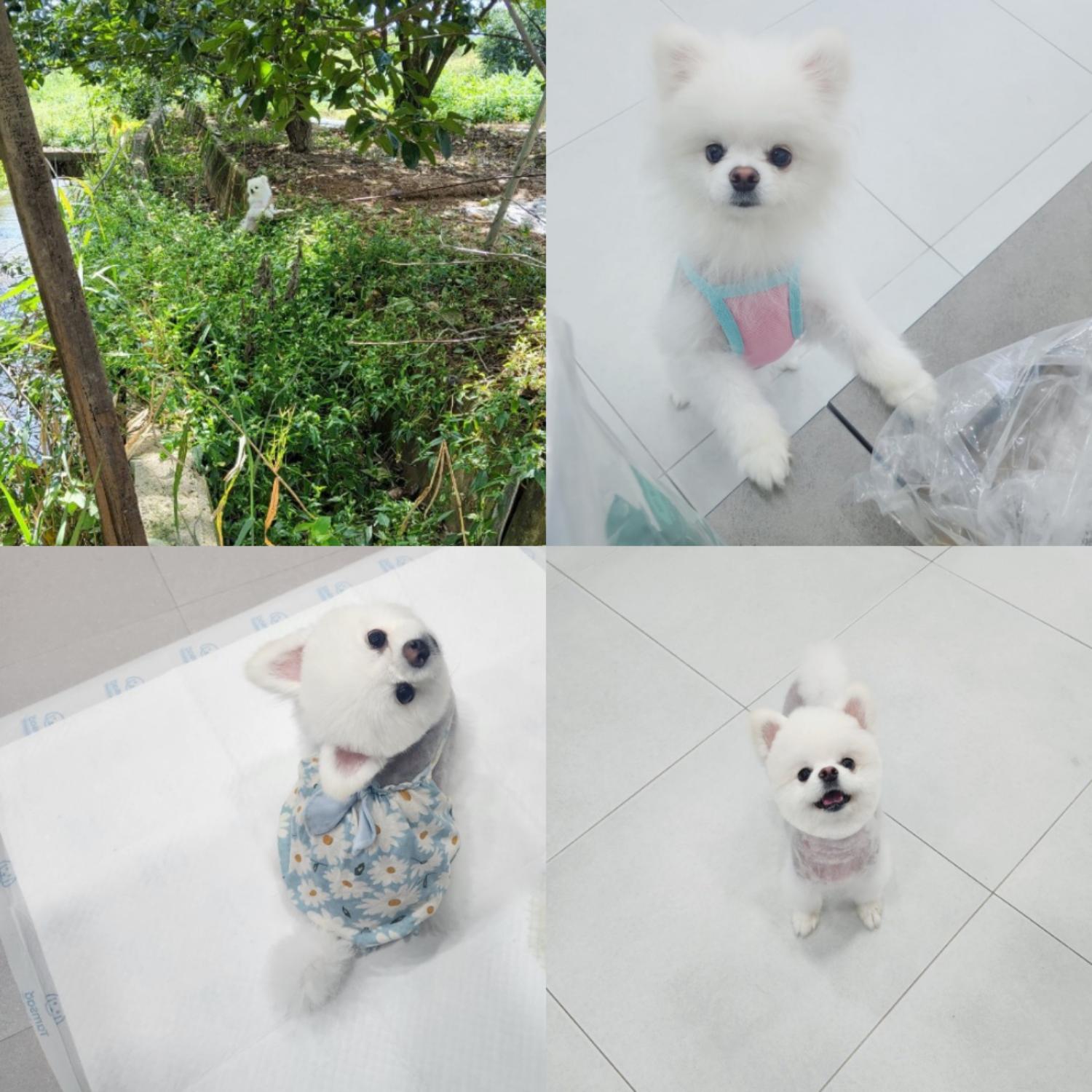 반려동물 입양센터_447508202400816